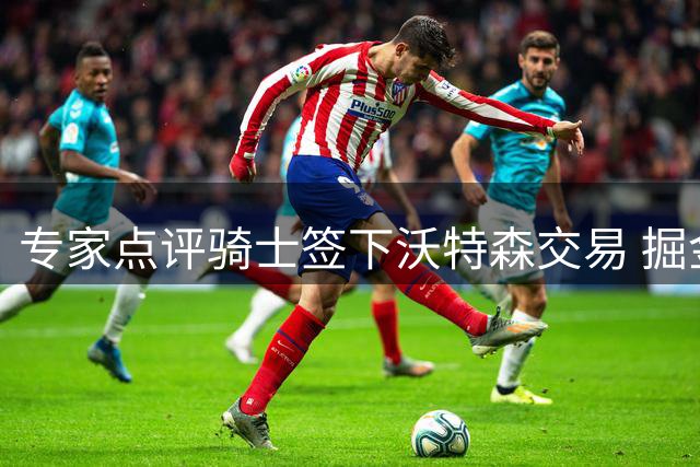 专家点评骑士签下沃特森交易 掘金错失约基奇黄金期