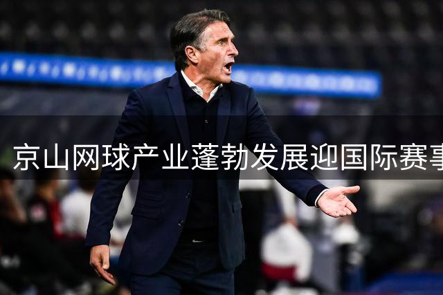 京山网球产业蓬勃发展迎国际赛事热潮