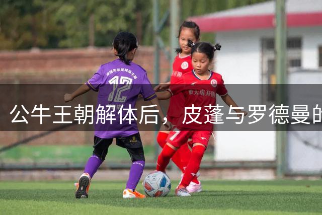 公牛王朝解体后，皮蓬与罗德曼的NBA生涯走向何方？